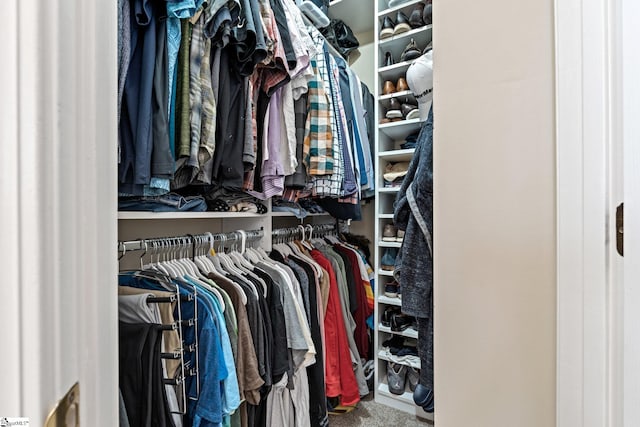 walk in closet featuring carpet floors