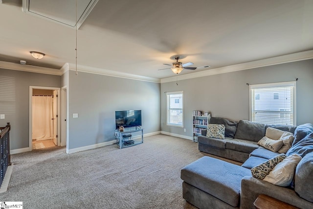 carpeted living room with visible vents, crown molding, baseboards, attic access, and ceiling fan