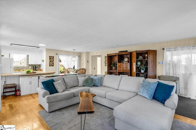 545 Long Reach Dr, Salem, SC 29676 - living area with light wood finished floors and a textured ceiling