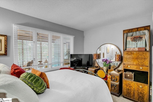 545 Long Reach Dr, Salem, SC 29676 - carpeted bedroom featuring a textured ceiling