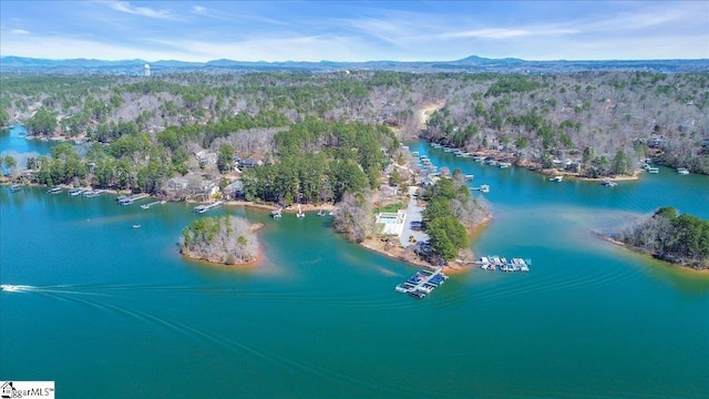 545 Long Reach Dr, Salem, SC 29676 - aerial view with a wooded view and a water and mountain view