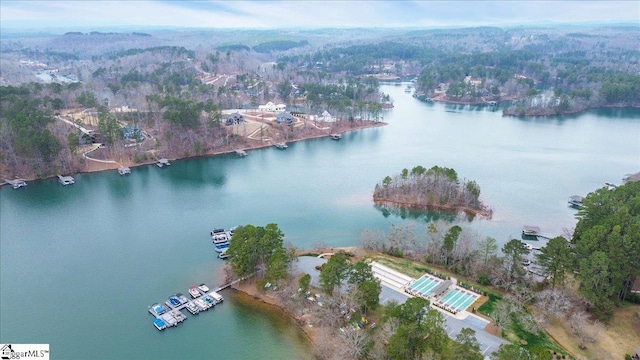 545 Long Reach Dr, Salem, SC 29676 - aerial view featuring a water view and a view of trees