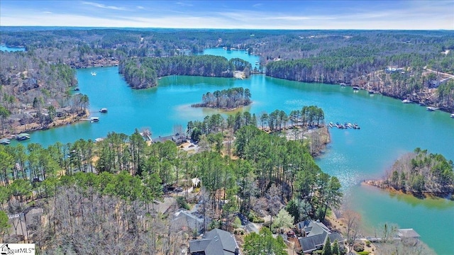 545 Long Reach Dr, Salem, SC 29676 - drone / aerial view featuring a view of trees and a water view
