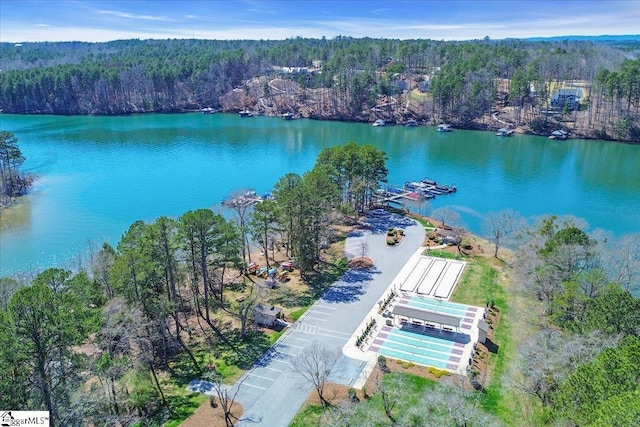 545 Long Reach Dr, Salem, SC 29676 - drone / aerial view featuring a water view and a view of trees