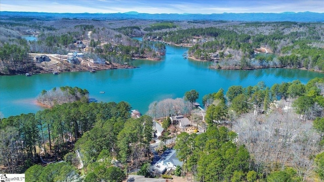 545 Long Reach Dr, Salem, SC 29676 - bird's eye view featuring a forest view and a water and mountain view