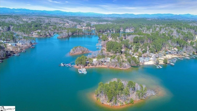 545 Long Reach Dr, Salem, SC 29676 - drone / aerial view with a water and mountain view