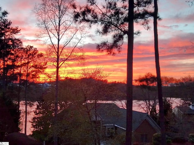 545 Long Reach Dr, Salem, SC 29676 - water view