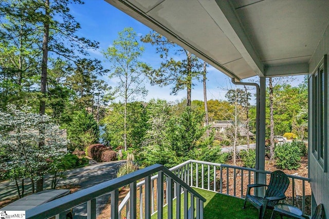 545 Long Reach Dr, Salem, SC 29676 - view of balcony