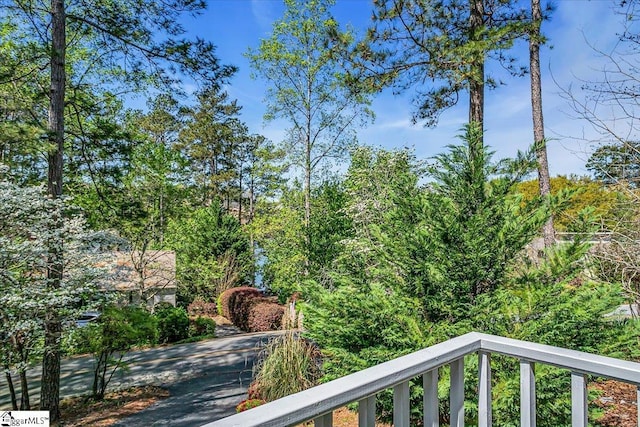 545 Long Reach Dr, Salem, SC 29676 - view of balcony