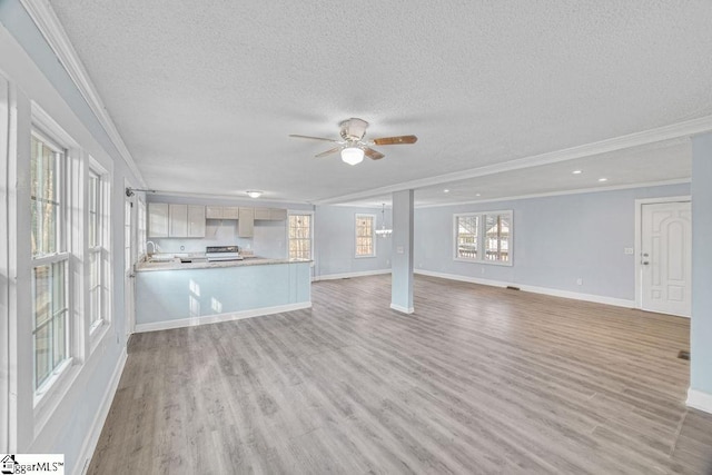 139 Randolph Ct, Woodruff, SC 29388 - unfurnished living room featuring light wood finished floors, baseboards, ornamental molding, a textured ceiling, and a ceiling fan