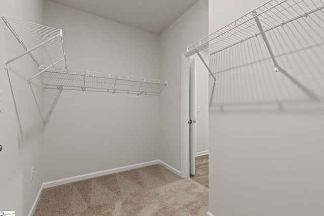 200 Clinkscales Rd Lot 37, Anderson, SC 29624 - walk in closet with carpet flooring