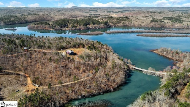 birds eye view of property with a wooded view and a water view