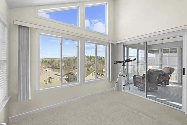 1230 Melton Rd Unit 101, West Union, SC 29696 - workout area with baseboards, carpet flooring, and a towering ceiling