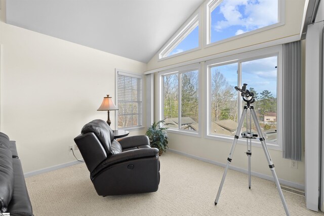 1230 Melton Rd Unit 101, West Union, SC 29696 - sitting room with baseboards, visible vents, high vaulted ceiling, and carpet floors