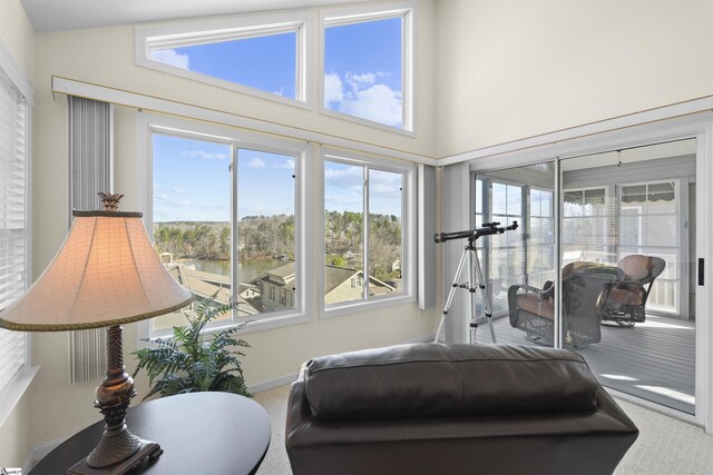 1230 Melton Rd Unit 101, West Union, SC 29696 - workout area with a towering ceiling and carpet