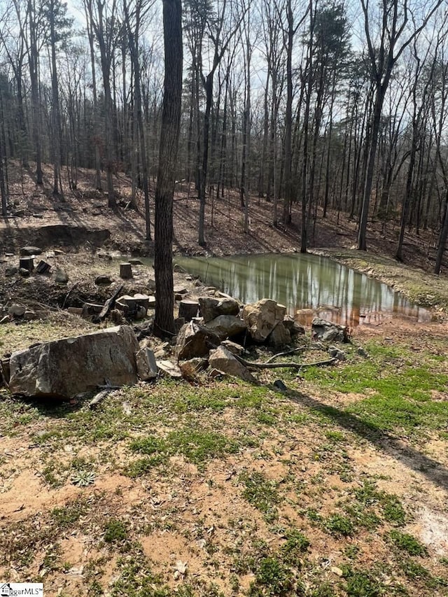 view of water feature