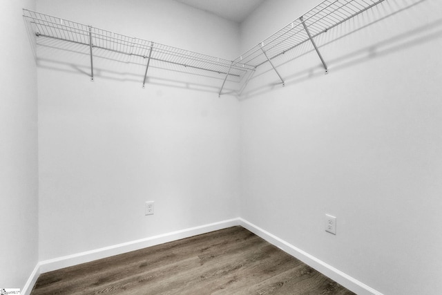 spacious closet with dark wood finished floors