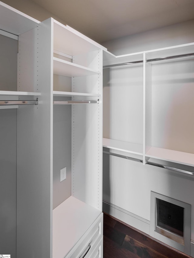 spacious closet featuring dark wood finished floors