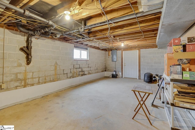 basement featuring electric panel