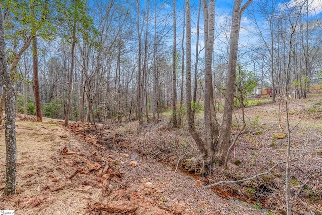 14 Polk Blvd, Greenville, SC 29611 - view of nature