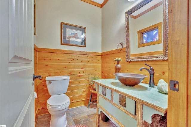 511 Palmer Way, Sunset, SC 29685 - bathroom featuring toilet, vanity, wood walls, and stone finish flooring