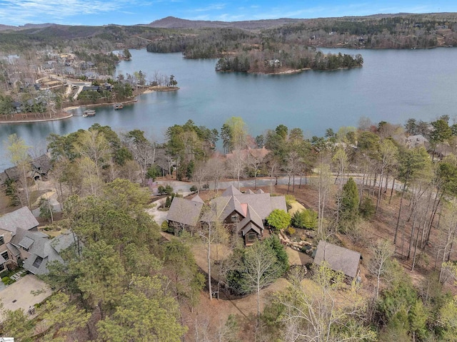 511 Palmer Way, Sunset, SC 29685 - aerial view featuring a water view