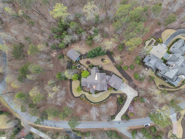511 Palmer Way, Sunset, SC 29685 - birds eye view of property