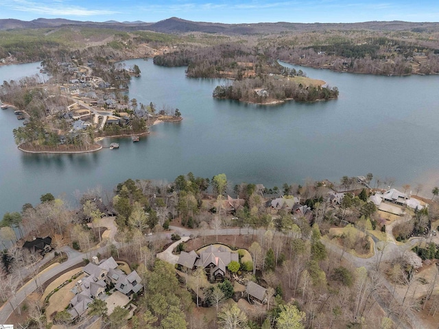 511 Palmer Way, Sunset, SC 29685 - bird's eye view with a water and mountain view