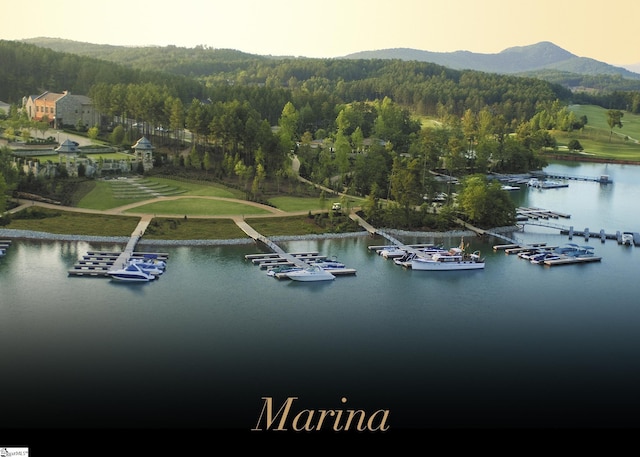 511 Palmer Way, Sunset, SC 29685 - bird's eye view with a water and mountain view