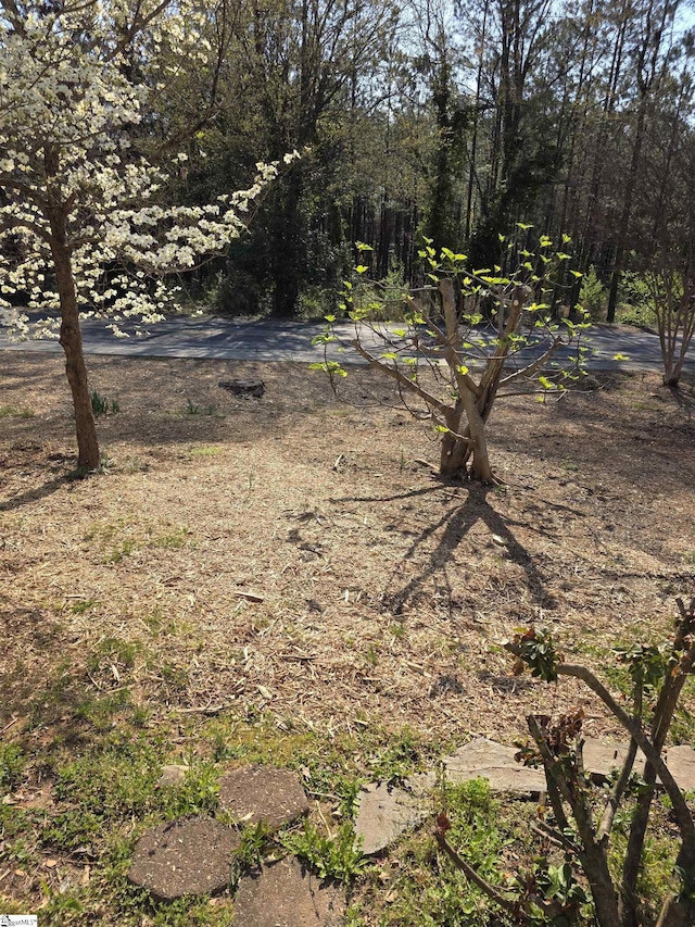 view of nature