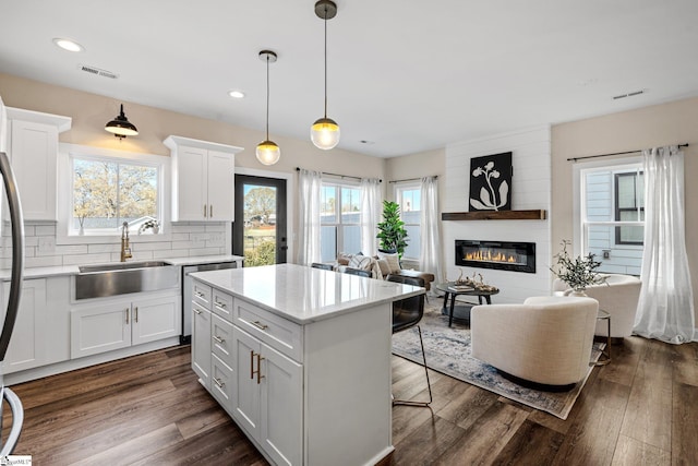 130 Park Ave, Greer, SC 29651 - kitchen with a large fireplace, dark wood-style flooring, a sink, and visible vents