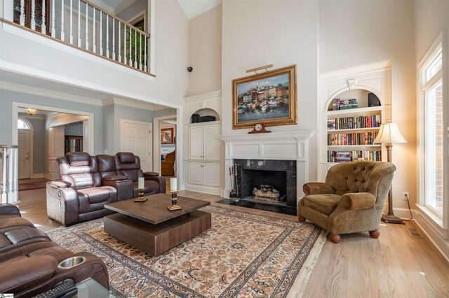 6 Bentford Ct, Simpsonville, SC 29681 - living room featuring plenty of natural light, light wood-type flooring, and a high end fireplace
