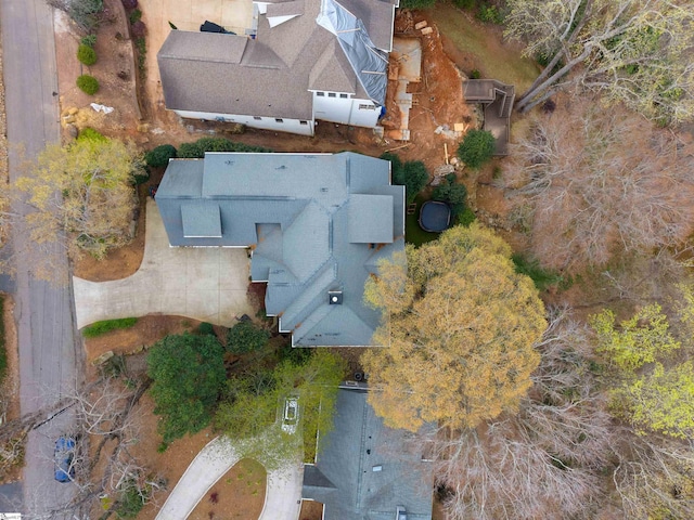 bird's eye view