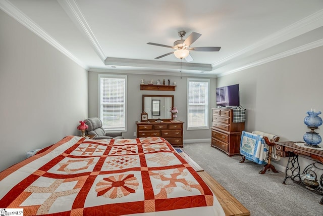 7 Ridgebury Pl, Greenville, SC 29607 - bedroom featuring carpet flooring, a tray ceiling, and multiple windows