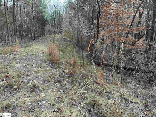 00 Pinewood Rd, Spartanburg, SC 29302