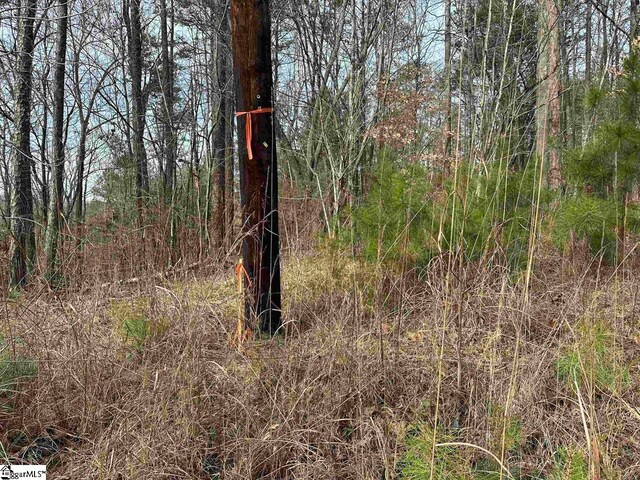 00 Pinewood Rd, Spartanburg, SC 29302