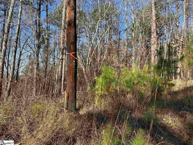 00 Pinewood Rd, Spartanburg, SC 29302