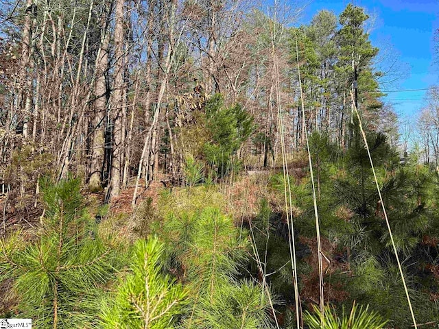00 Pinewood Rd, Spartanburg, SC 29302
