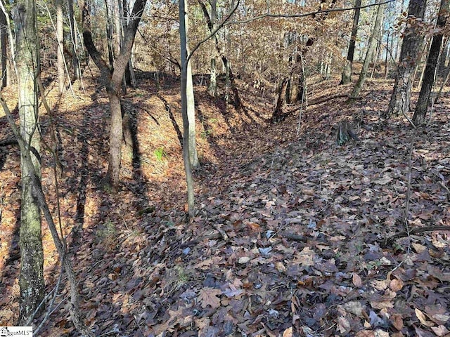 00 Pinewood Rd, Spartanburg, SC 29302