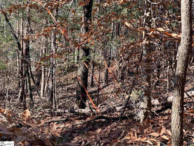 00 Pinewood Rd, Spartanburg, SC 29302