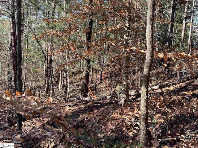 00 Pinewood Rd, Spartanburg, SC 29302