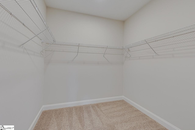 114 Walters Way, Pickens, SC 29671 - spacious closet with carpet