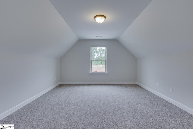 114 Walters Way, Pickens, SC 29671 - additional living space featuring carpet floors, vaulted ceiling, and baseboards