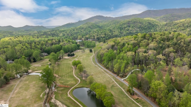 241 Sliding Rock Rd, Pickens, SC 29671 - aerial overview of property's location featuring a water and mountain view and a forest