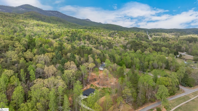 241 Sliding Rock Rd, Pickens, SC 29671 - view of property location featuring a heavily wooded area and a mountain backdrop