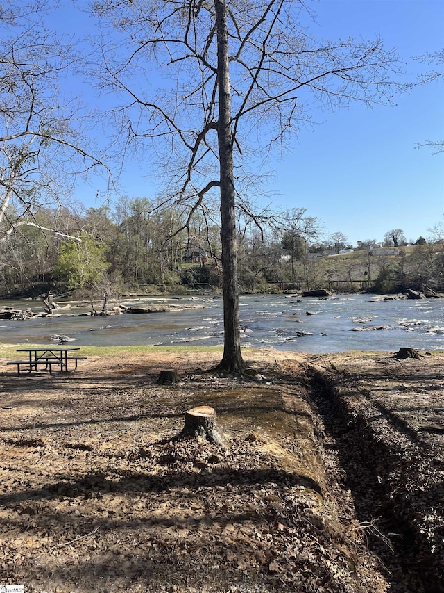 1273 Powerhouse Rd, Ware Shoals, SC 29692 - view of yard
