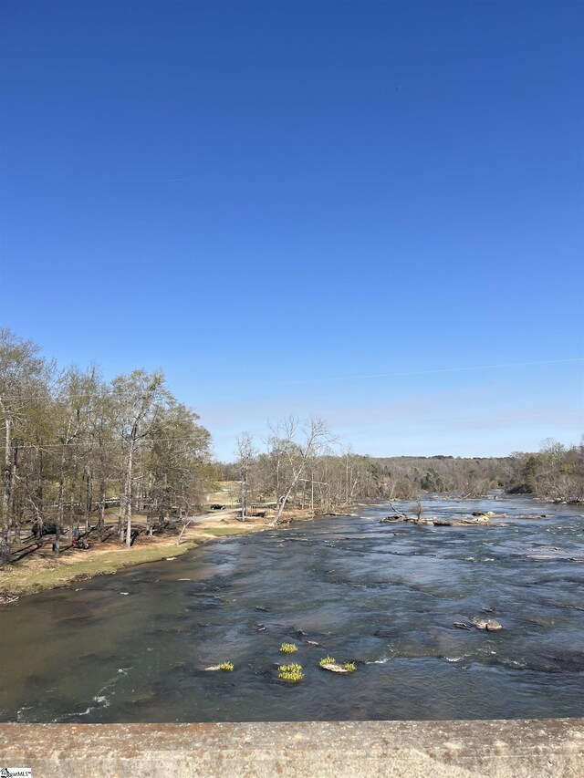 1273 Powerhouse Rd, Ware Shoals, SC 29692 - view of yard featuring a water view