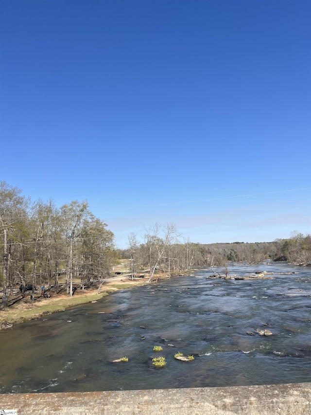 1273 Powerhouse Rd, Ware Shoals, SC 29692 - view of yard with a water view