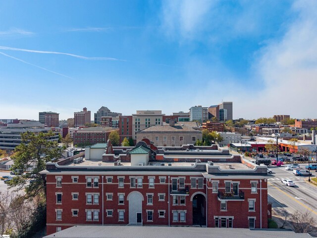 400 E Washington St Unit 28, Greenville, SC 29601 - view of city