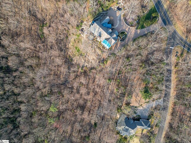 2 Park Green Way, Landrum, SC 29356